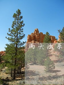 两大法系的合同法的比较
