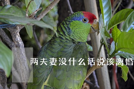 两夫妻没什么话说该离婚吗 两夫妻没什么话说该离婚吗