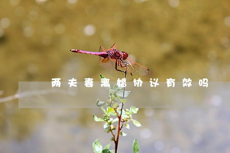 两夫妻离婚协议有效吗