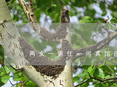 两女一男住一间宾馆违法吗 两女一男住一间宾馆违法吗