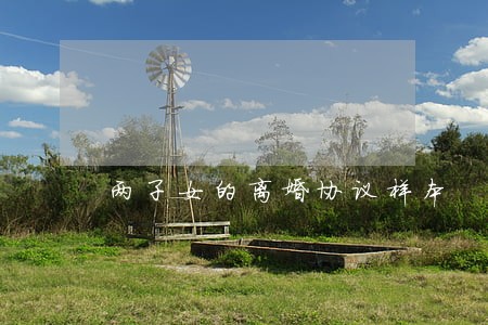 两子女的离婚协议样本 两子女的离婚协议样本