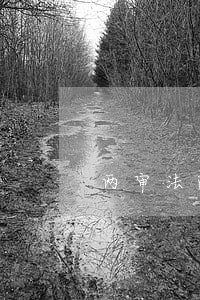 两审法院判决公安局赔偿 两审法院判决公安局赔偿