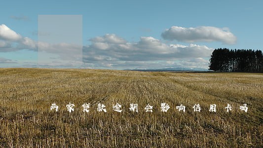 两家贷款逾期会影响信用卡吗