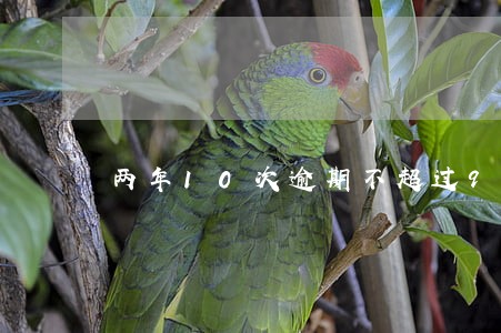 两年10次逾期不超过90天 两年10次逾期不超过90天