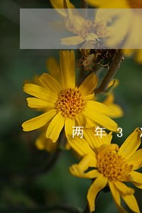 两年3次不小心逾期可以房贷吗 两年3次不小心逾期可以房贷吗