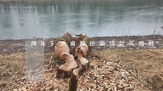 两年3次逾期还能贷款买房吗 两年3次逾期还能贷款买房吗