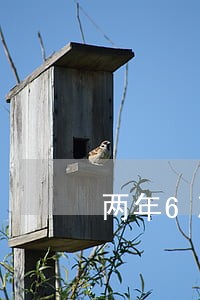 两年6次逾期可以车贷吗