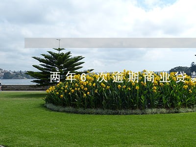 两年6次逾期商业贷款 两年6次逾期商业贷款