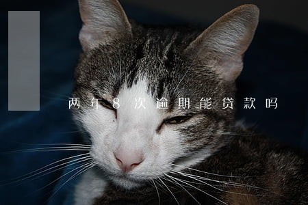 两年8次逾期能贷款吗 两年8次逾期能贷款吗