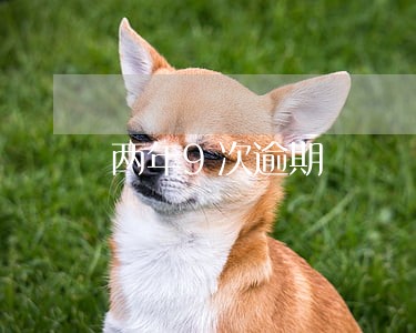 两年9次逾期 两年9次逾期