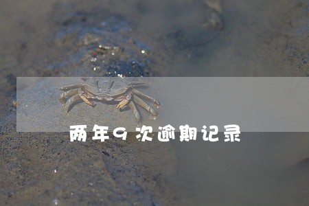 两年9次逾期记录 两年9次逾期记录