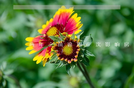 两年之前逾期6次影响房贷吗 两年之前逾期6次影响房贷吗