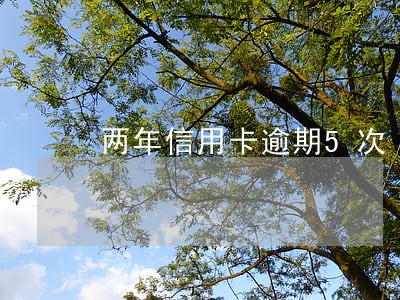 两年信用卡逾期5次