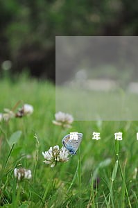 两年信用卡逾期一次 两年信用卡逾期一次