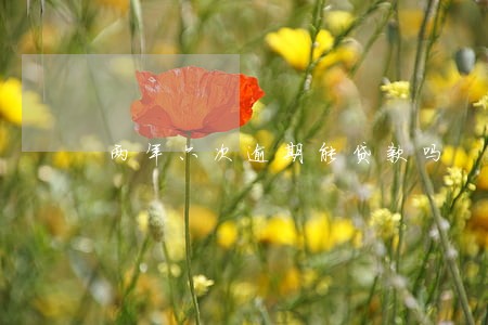 两年六次逾期能贷款吗 两年六次逾期能贷款吗