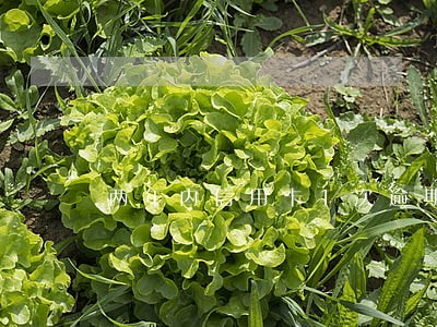 两年内信用卡1次逾期 两年内信用卡1次逾期