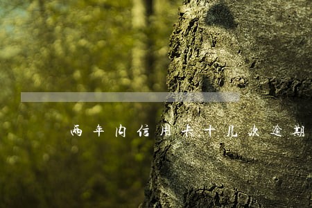 两年内信用卡十几次逾期