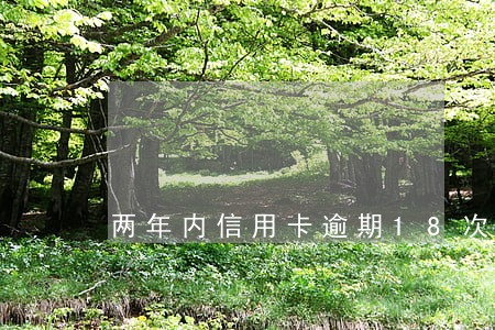 两年内信用卡逾期18次 两年内信用卡逾期18次