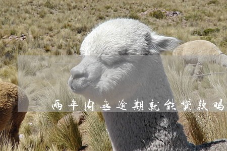 两年内无逾期就能贷款吗 两年内无逾期就能贷款吗