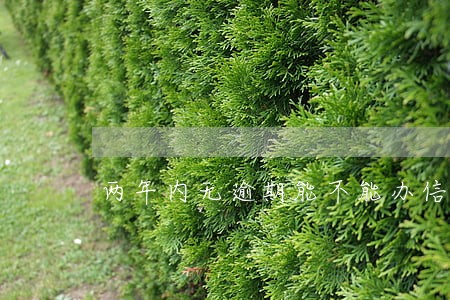 两年内无逾期能不能办信用卡 两年内无逾期能不能办信用卡