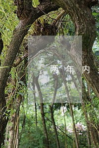 两年内无逾期能办信用卡吗