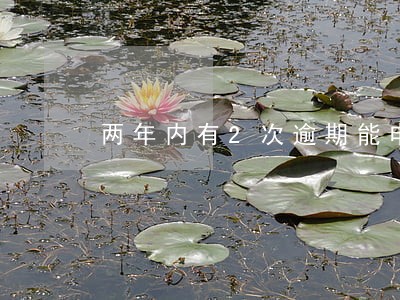 两年内有2次逾期能申请车贷吗 两年内有2次逾期能申请车贷吗