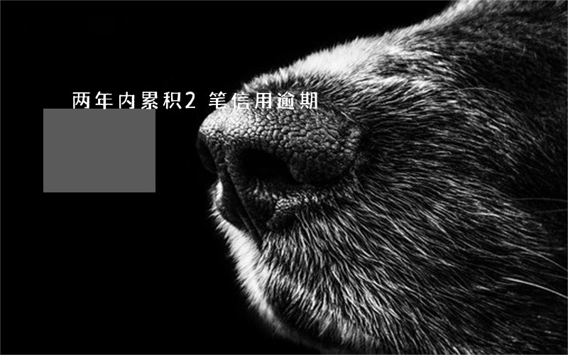 两年内累积2笔信用逾期 两年内累积2笔信用逾期