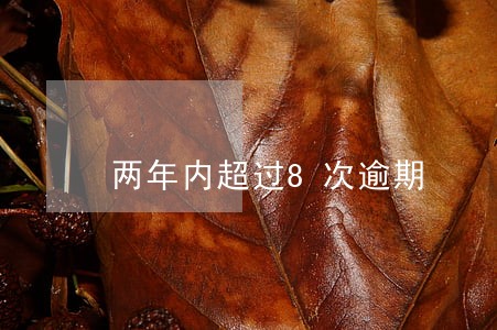 两年内超过8次逾期 两年内超过8次逾期