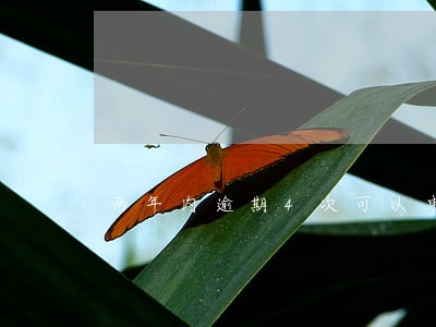 两年内逾期4次可以申请房贷吗 两年内逾期4次可以申请房贷吗