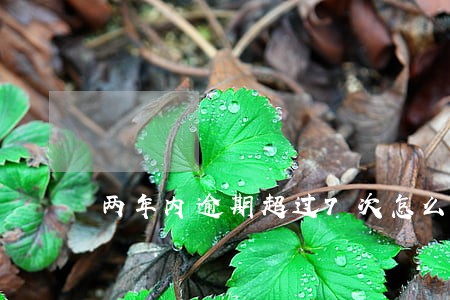 两年内逾期超过7次怎么办 两年内逾期超过7次怎么办