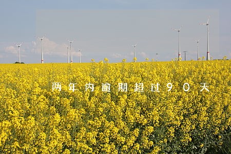 两年内逾期超过90天 两年内逾期超过90天