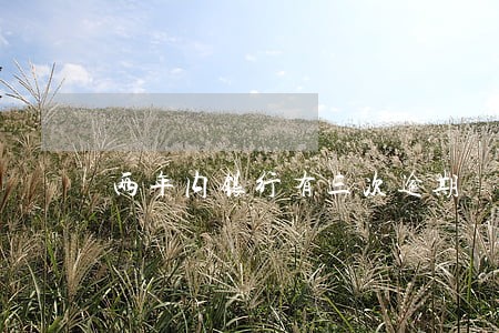 两年内银行有三次逾期 两年内银行有三次逾期