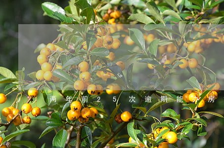 两年前25次逾期能办房贷吗 两年前25次逾期能办房贷吗