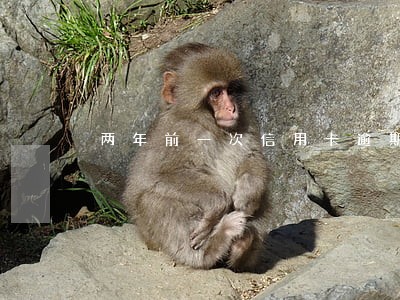 两年前一次信用卡逾期能贷款吗 两年前一次信用卡逾期能贷款吗