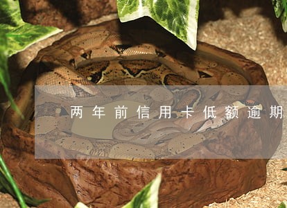 两年前信用卡低额逾期十次 两年前信用卡低额逾期十次
