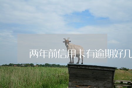 两年前信用卡有逾期好几回咋办 两年前信用卡有逾期好几回咋办