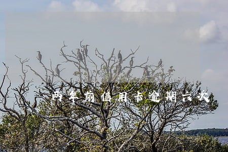 两年前信用卡逾期六次 两年前信用卡逾期六次