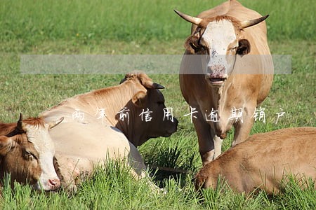 两年前信用卡逾期销户 两年前信用卡逾期销户