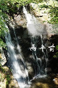 两年前征信有逾期申请信用卡