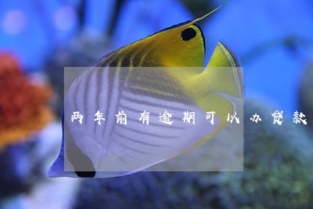 两年前有逾期可以办贷款吗 两年前有逾期可以办贷款吗
