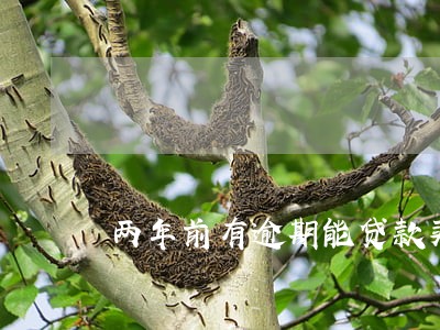 两年前有逾期能贷款买车吗 两年前有逾期能贷款买车吗