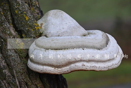 两年前的信用卡逾期影响贷款吗