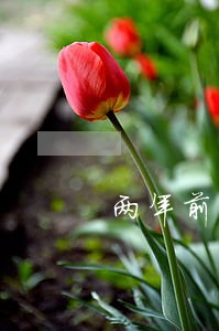两年前的网贷逾期征信没有 两年前的网贷逾期征信没有
