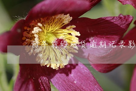 两年前的网贷逾期记录影响买房吗
