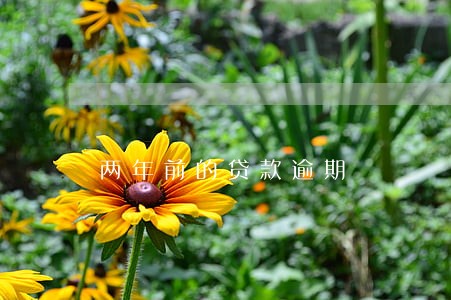两年前的贷款逾期 两年前的贷款逾期