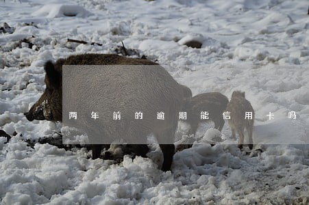 两年前的逾期能信用卡吗