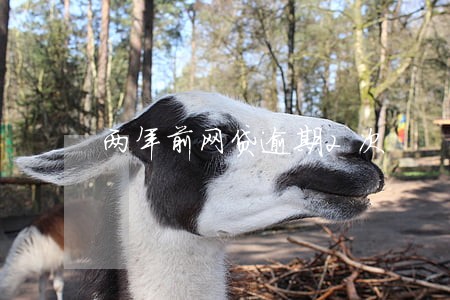 两年前网贷逾期2次 两年前网贷逾期2次