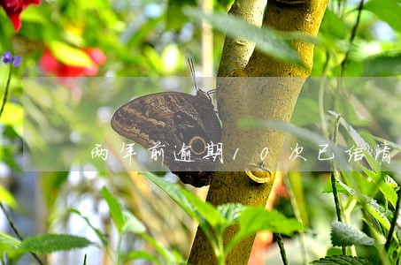 两年前逾期10次已结清 两年前逾期10次已结清