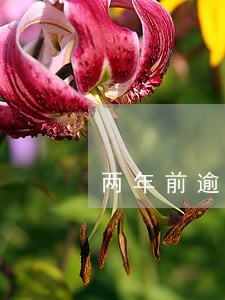 两年前逾期一次能贷款买房 两年前逾期一次能贷款买房