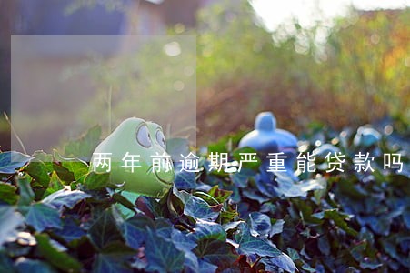 两年前逾期严重能贷款吗 两年前逾期严重能贷款吗